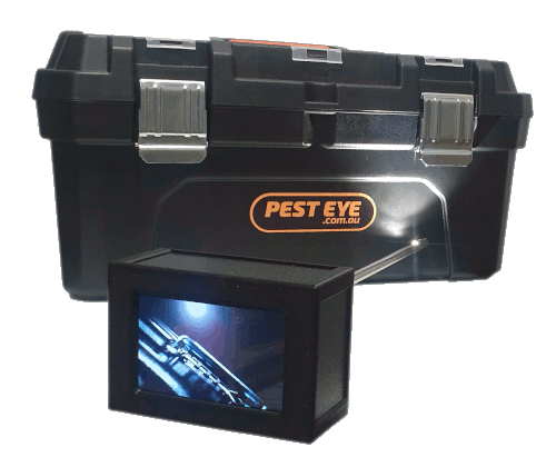 screen view of camera